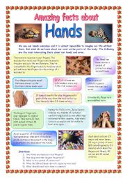 English Worksheet: Amazing facts about hands