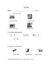 English Worksheet: my face