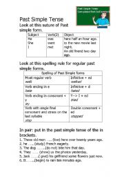English Worksheet: Past Simple Tense