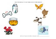 English worksheet: Help the animals to find something they like!