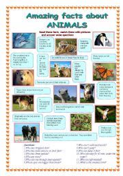 English Worksheet: Amazing facts about animals (1 part)