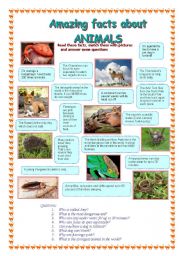 English Worksheet: Amazing facts about animals (2 part)