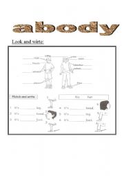 English worksheet: abody