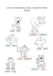 English Worksheet: colour the right word