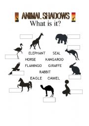 English worksheet: Animal shadows