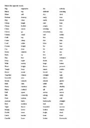 English Worksheet: opposite word