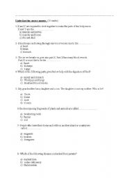 English Worksheet: humans and plants