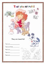 English Worksheet: animals,pets