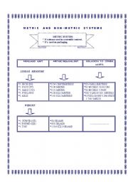 English worksheet:  metric system