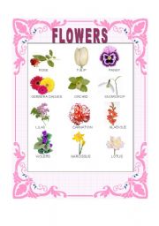 English Worksheet: FLOWERS