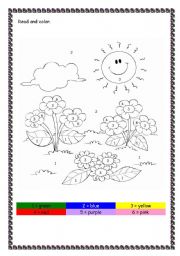 English Worksheet: flowers,colours