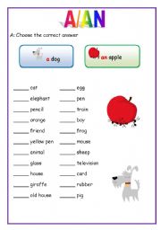 English Worksheet: A/AN - (English for beginners)