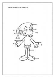 English worksheet: Parts of the body