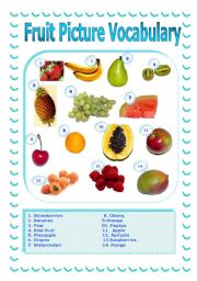 English Worksheet: Fruit Picture Vocabulary
