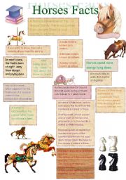 English Worksheet: Facts About Horses(14.08.08.)