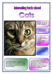  Interesting facts about cats! (2 pages) (15.08.08)