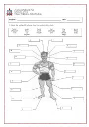 English Worksheet: Parts of the Body