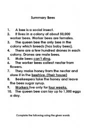 English Worksheet: bees