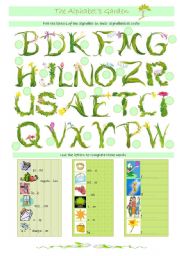 English Worksheet: The Alphabet Garden (16-08-08)