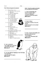 English Worksheet: Zoo Animals