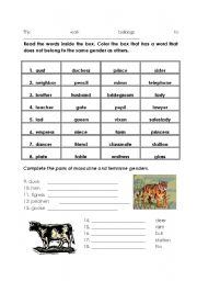 English Worksheet: Gender of Noun