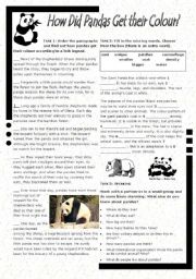 English Worksheet: How did Pandas Get their Colour?