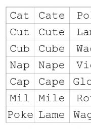 English Worksheet: Long e, silent e, bully e