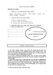 English worksheet: GRAM  STANING  METHOD