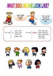 English Worksheet: WHAT DOES HE/SHE LOOK LIKE? - (English for beginners)