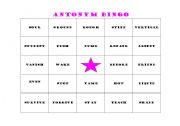 English Worksheet: Antonym Bingo Card 3