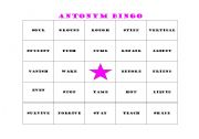 English worksheet: Antonym Bingo Card 3