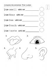 English Worksheet: Senses