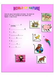 English worksheet: WORLD OF NATURE