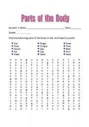 English Worksheet: Parts of the Body