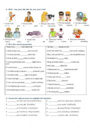 English Worksheet: Personal Identification- part 2