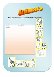 English worksheet: Animals