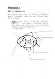 English worksheet: animal world: vertebartes, fish