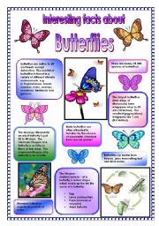  Interesting facts about butterflies! - did you know that ... (PART 1)