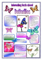 English Worksheet:  Interesting facts about butterflies! - did you know that ... (PART 2)