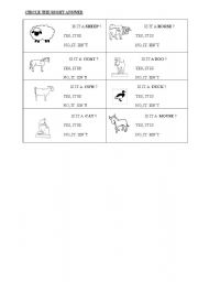 English worksheet: CIRCLE THE RIGHT ANSWER