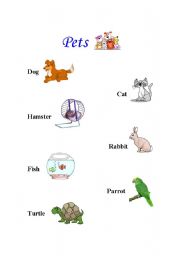 English Worksheet: Pets