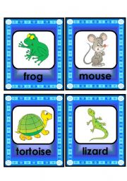 lovely animal and creature flashcard set - 4th part