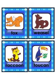 lovely animal and creature flashcard set - 1st part