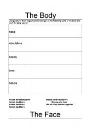 English worksheet: The body