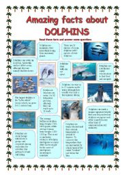 English Worksheet: Amazing facts about DOLPHINS