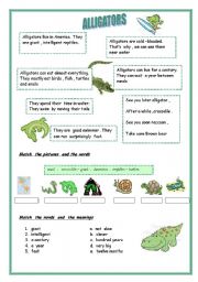 English Worksheet: ANIMAL SERIES -1   ;  ALLIGATORS  , SIMPLE PRESENT , 