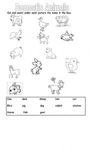 Domestic Animals - ESL worksheet by 