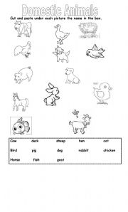 English Worksheet: Domestic Animals