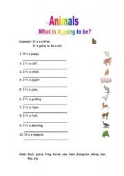 English worksheet: ANIMALS AND THEIR BABIES