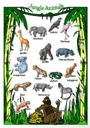 Jungle Animals